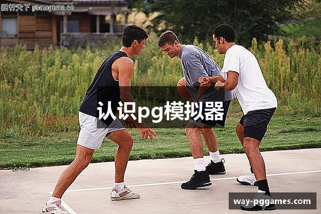 认识pg模拟器